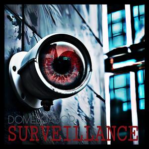 SURVEILLANCE
