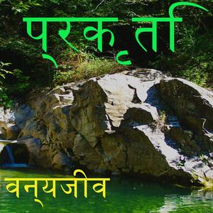 प्रकृति