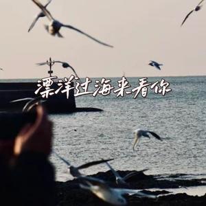 漂洋过海来看你