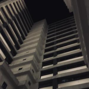 无所求必满载而归