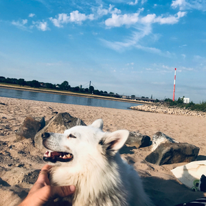 YOU GOT ME HYPNOTIZED!