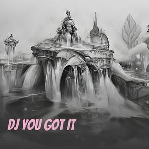 Dj You Got It