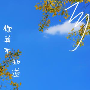 你并不知道（I haven't told you yet）