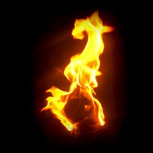 Se Congrega la Especie (En Vivo)