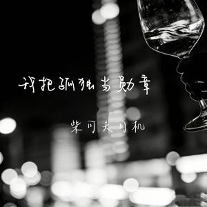 我把孤独当勋章