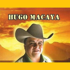 Caballo Patas Blancas