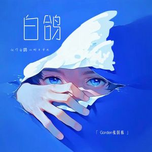 白鸽 伴奏
