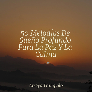 Desenrollar Mediante La Instrucción