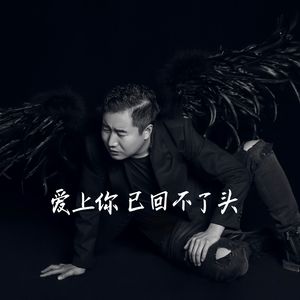 爱上你已回不了头