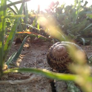 No Lo Podíamos Evitar