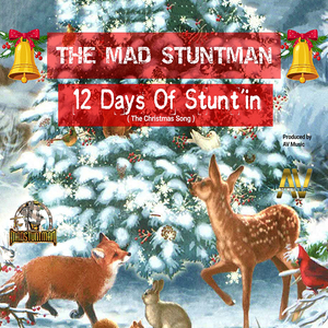 12 Days of Stunt'in