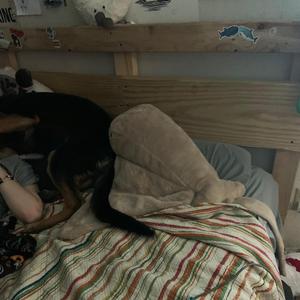 Stained Glass Window