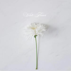 White Flower