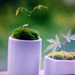 如果下辈子我还记得你