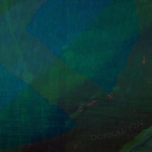 Dorsal Fin (Single Version)