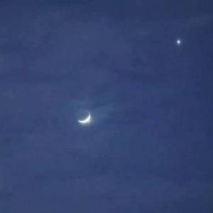 我还是（魏晗温柔版）（翻自 群星）