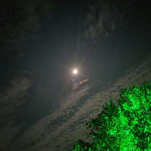 打上花火中文填翻