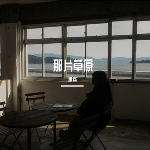 那片草原-整曲 伴奏