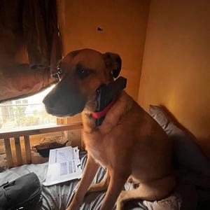 RunLikeTheWind (feat. LXXIV & Kashimotu)