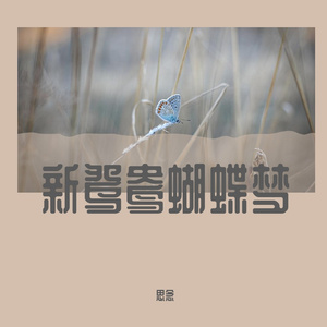 新鸳鸯蝴蝶梦