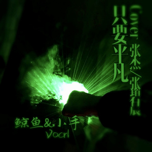 只要平凡（《我不是药神》主题曲）（翻自 张杰）