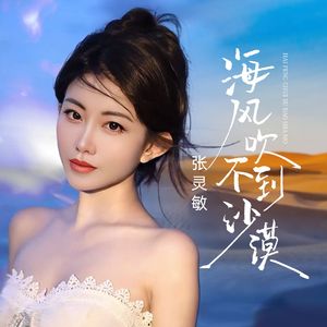 海风吹不到沙漠（和声伴奏）