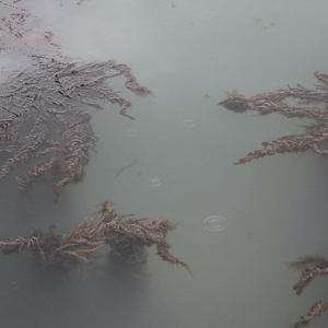 Momentary Senses / Oulu