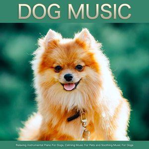 Music For Dogs