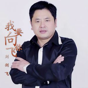 我要向你飞