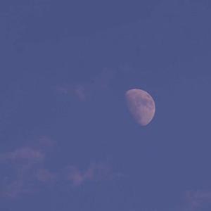 不跟你好了(拽姐版)（翻自 BigYear大年）