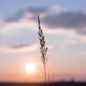 没出息（女声版）