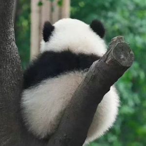 暖火