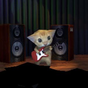 喵喵之歌(阿米嘎蒂朵)