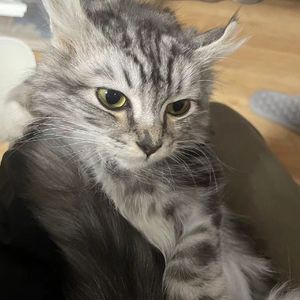 pain for me（PROD BY Bvlloon）