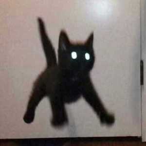 一个人的圣诞节