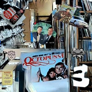 Lion With A Fur Coat On