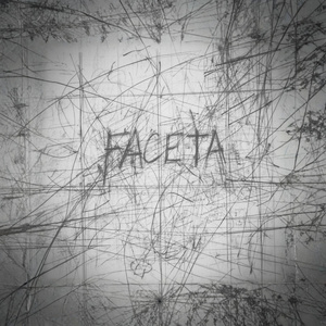 FACETA