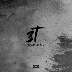 3T