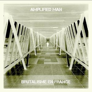 Le Pont De Saint Nazaire