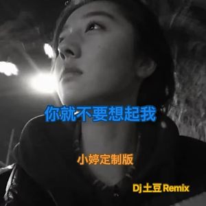 你就不要想起我(Dj土豆Remix）