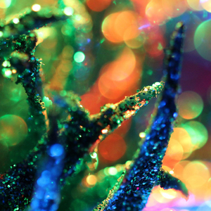 与朋友骑行的午后