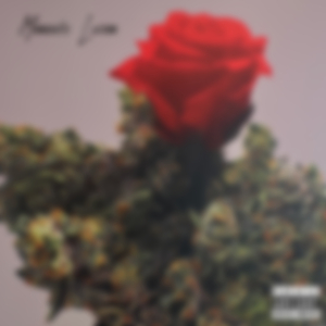 QUEEN NANNY FREESTYLE