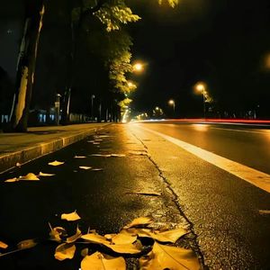 沉默的夜