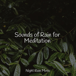 Rainy Woodland Ambience