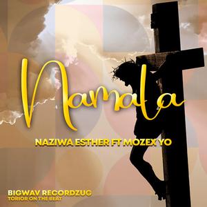 Namala (feat. Mozex Yo Official)