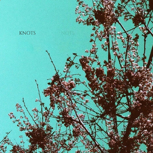 Knots