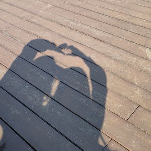 致我们的十二年