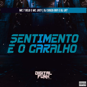 Sentimento É o Caralho