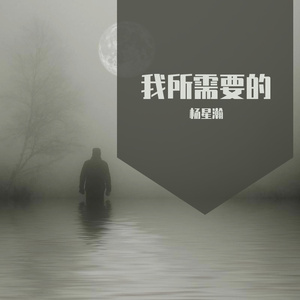 我所需要的