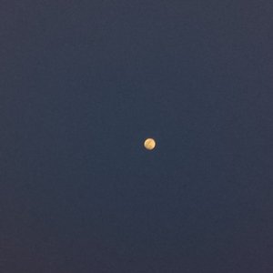 回避当然算不上释怀